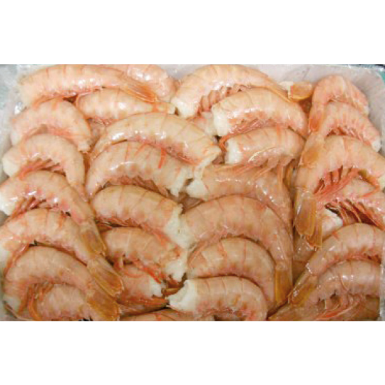 COLA GAMBON EXTRA (ANEDILCO)