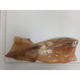 TUBO POTA N.Z. SUCIO