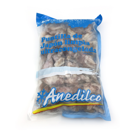 PUNTILLA CHINA S/PLUMA 3-5 (ANED)