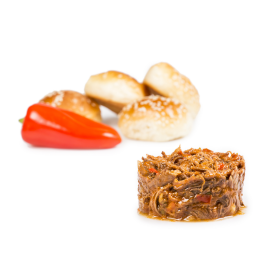 COCHINITA PIBIL (YTC)