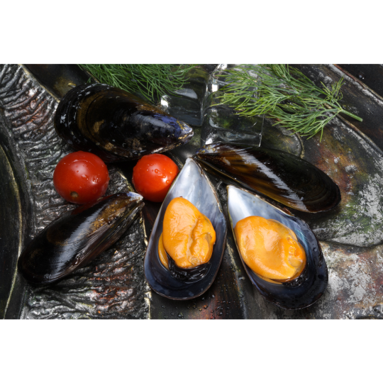 MEJILLON 1/2 CONCHA SUPER (BATEA)