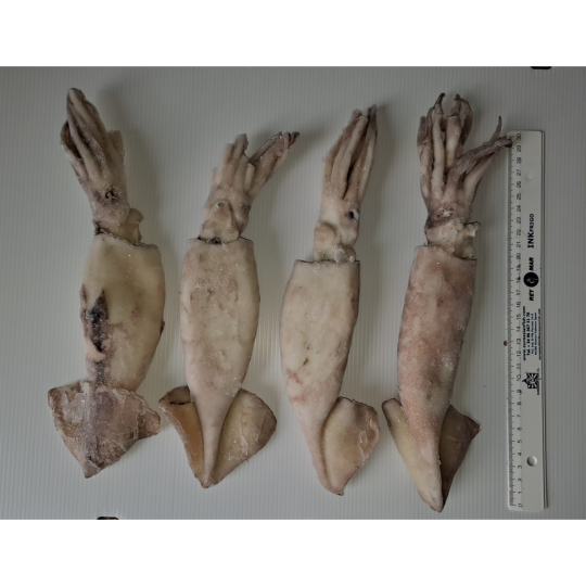 CALAMAR N.Z. IQF 100/200