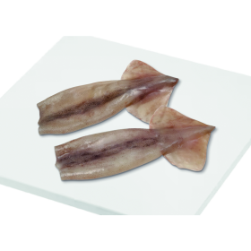 PELUDIN SUCIO ILLEX 200-300...