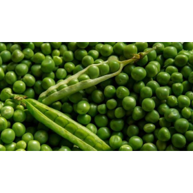 GUISANTE FINO 2X2.5KG (ANED)