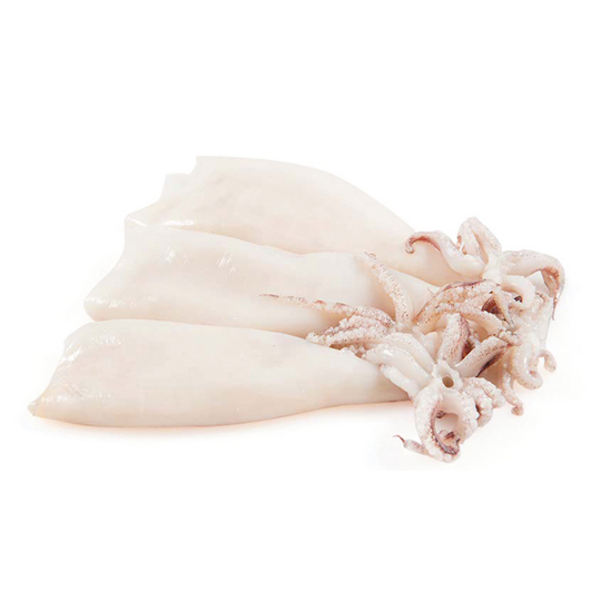 CALAMAR PATAGONICO LIMPIO 8X1