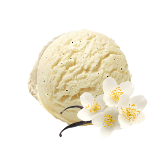 GRANEL VAINILLA 5.5L LA LECHERA