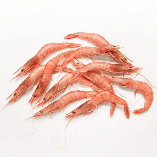 GAMBA PLANCHA 50/70 400GR (MACRO)