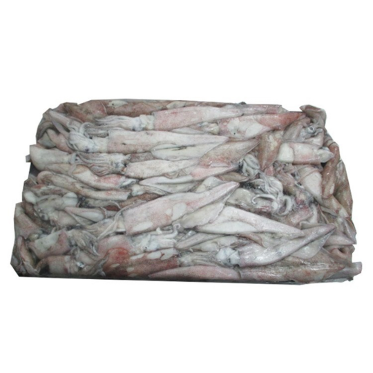 CALAMAR BOSTON 15/20 CM