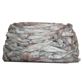 CALAMAR BOSTON 13/15 CM