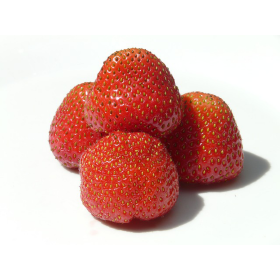 FRESA ENTERA 4X2.5 (ANED)