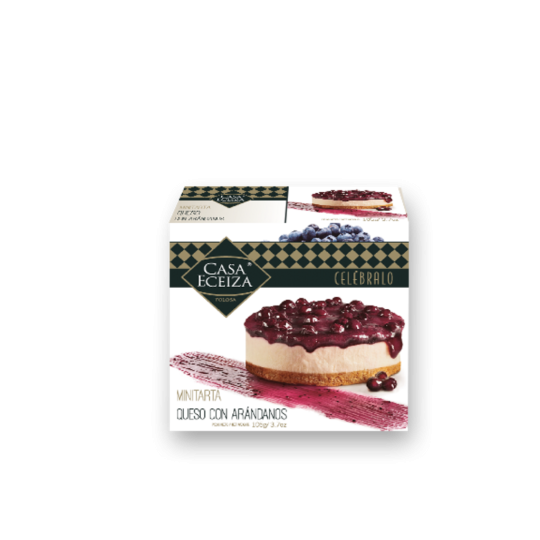 INDIVIDUAL QUESO-ARANDANOS (ECEIZ