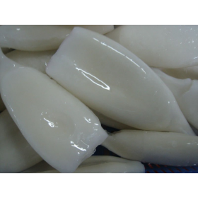 PELUDIN LIMPIO CHINO