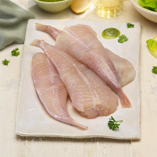 COLA RAPE CH.200/300