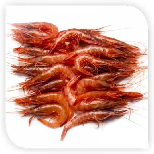 GAMBA G-3 125/140 (MACRO)