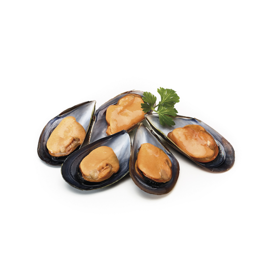 MEJILLON 1/2 CONCHA "G"