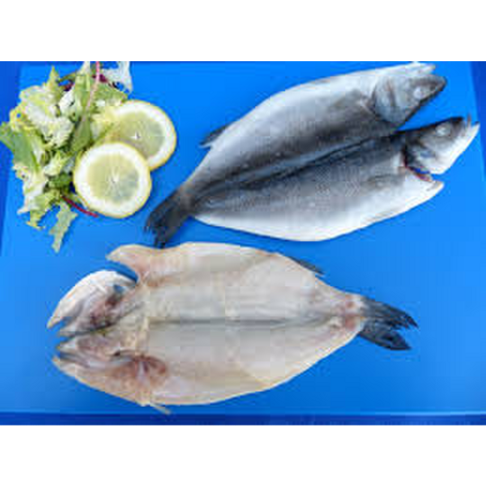 LUBINA ABIERTA 200/300 P.NETO