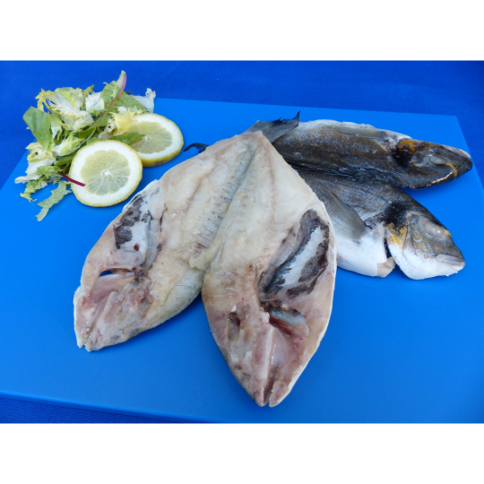 DORADA ABIERTA 200/300